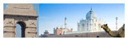 Charters services for Delhi-Agra-Delhi
