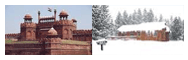 Charter Service for Delhi-Shimla-Delhi